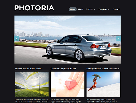 http://www.wpzoom.com/images/screenshots/photoria/photoria.png