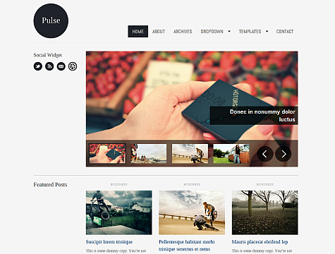 WpZoom Review and Latest WordPress Themes
