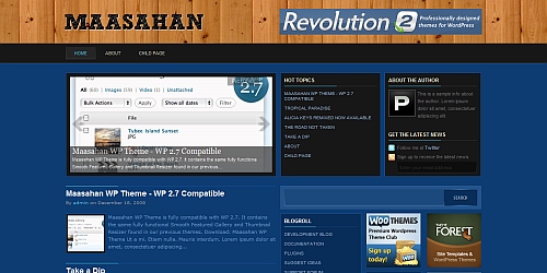 WordPress Theme