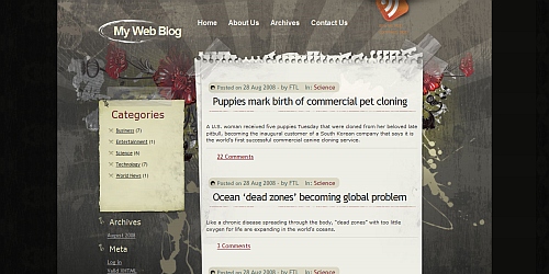 WordPress Theme