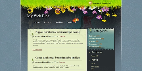 WordPress Theme