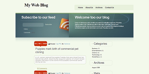 WordPress Theme