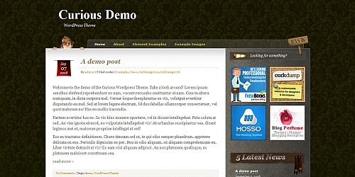 WordPress Theme