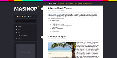 WordPress Theme