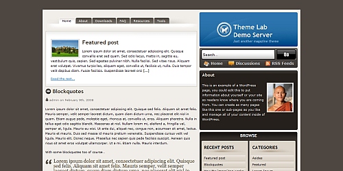 WordPress Theme