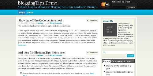 WordPress Theme