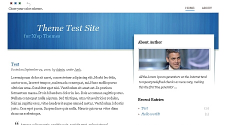 WordPress Theme