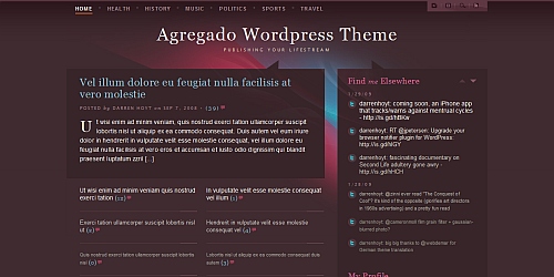 WordPress Theme