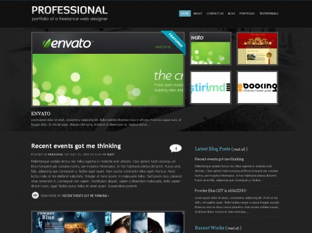 Professional Portfolio Examples