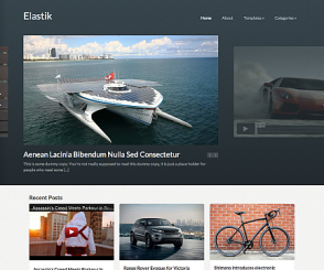 WordPress Theme: Elastik
