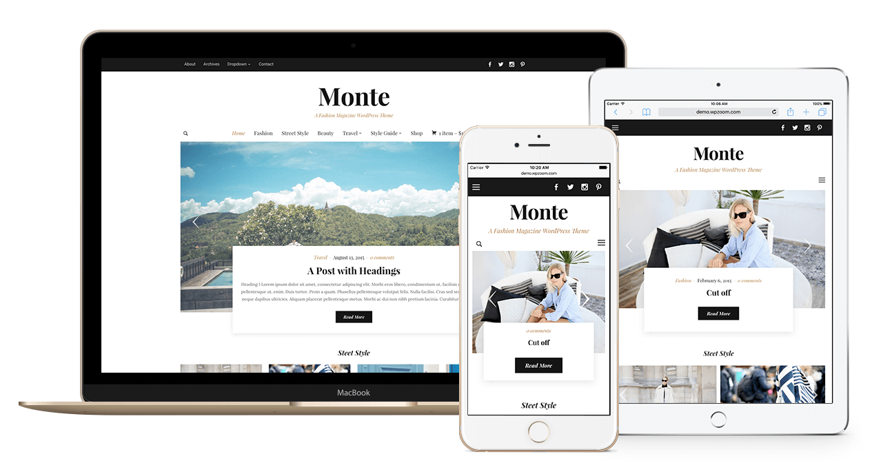 monte-theme-responsive (1)