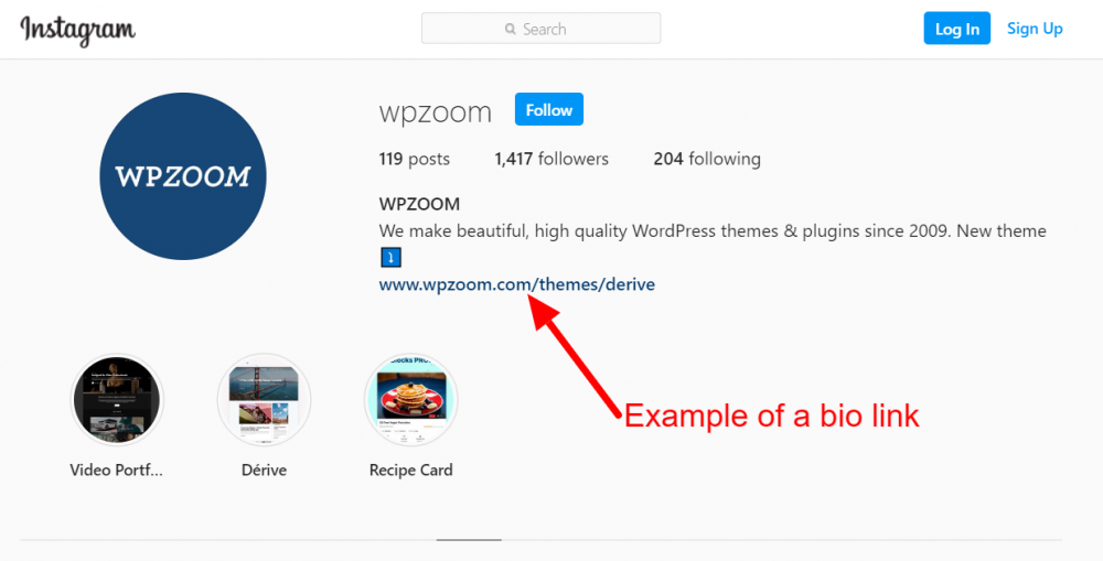 WPZOOM Bio Link Example