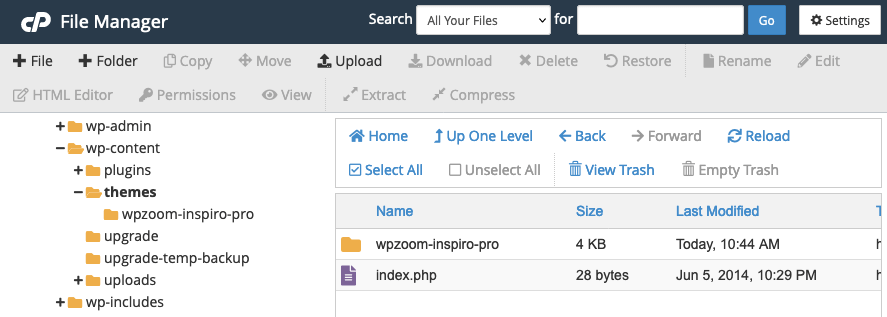 Delete a WordPress Theme Manually Using cPanel File Manager
