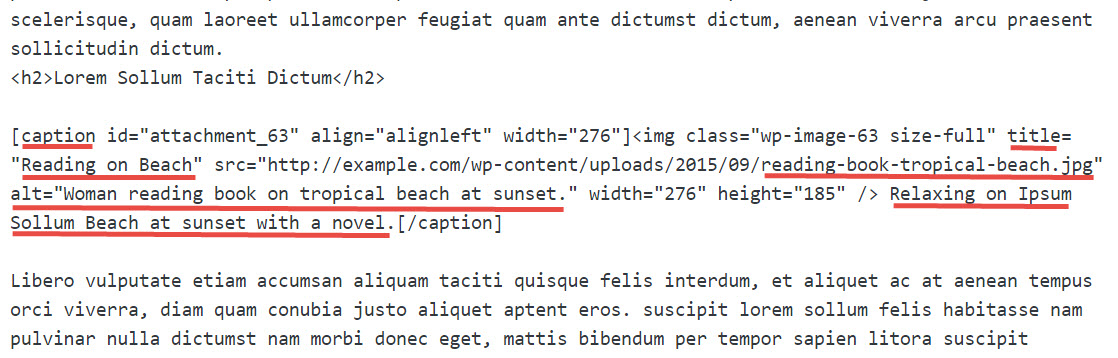 image-code-in-wordpress