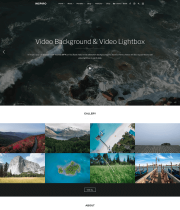 Inspiro Premium - Fast Portfolio Theme with Video Background
