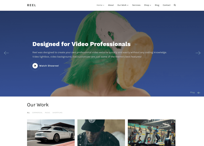Reel Video Portfolio WordPress theme