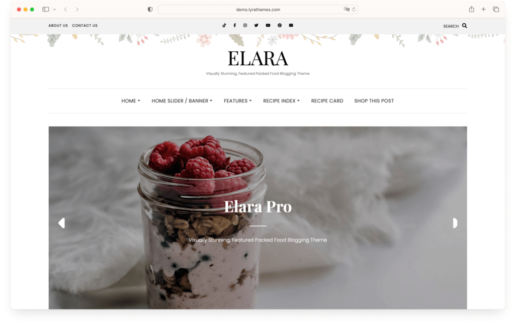 Elara Pro - a great WordPress theme for sharing recipes