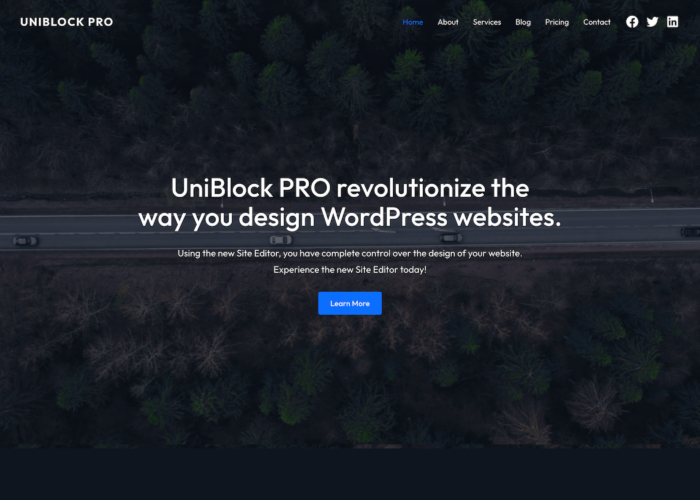 UniBlock PRO - Fast Block Theme for WordPress (FSE)