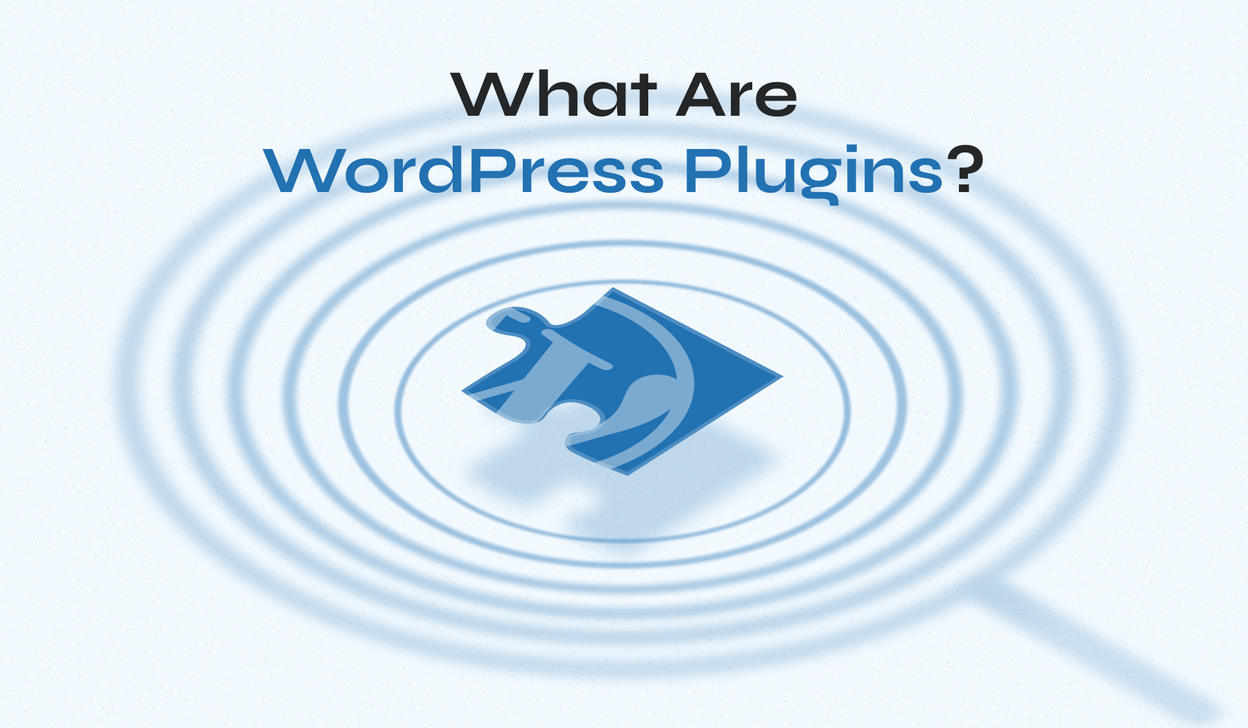 What Are WordPress Plugins?