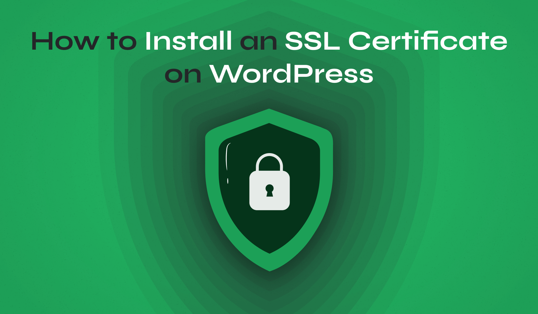 Install an ssl certificate on wordpress