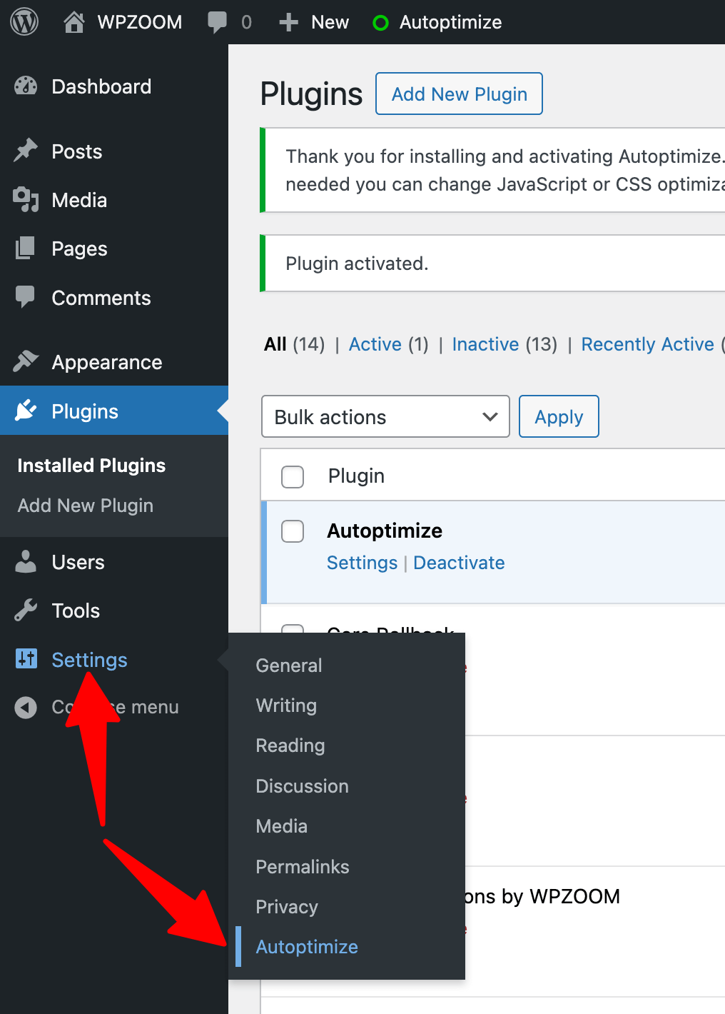 Autoptimize Settings