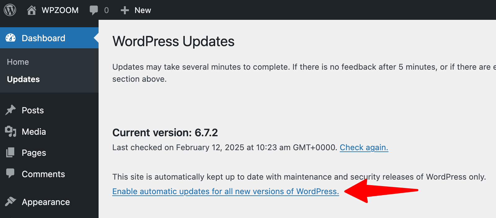 Enable automatic updates in WordPress