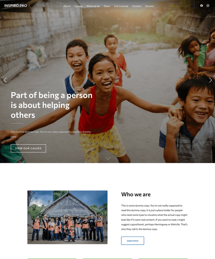 Charity / NGO