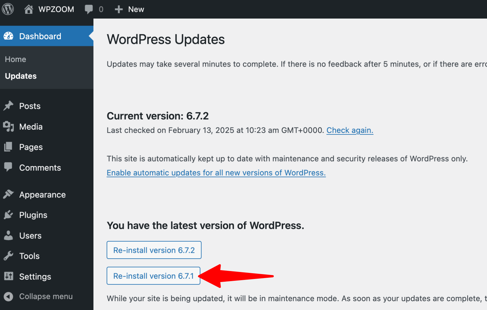 Rollback Core reinstall WordPress