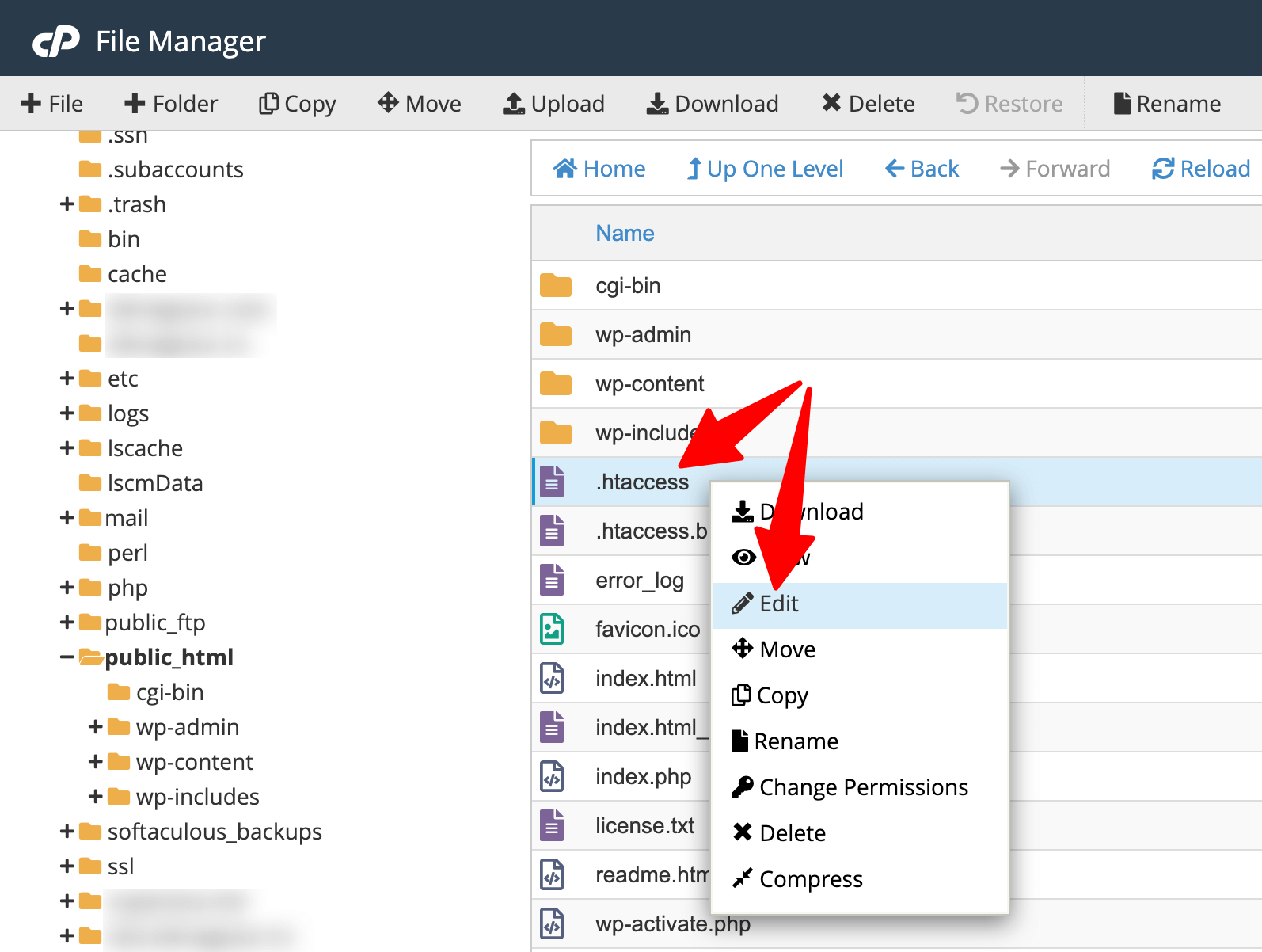 cPanel > Edit .htaccess