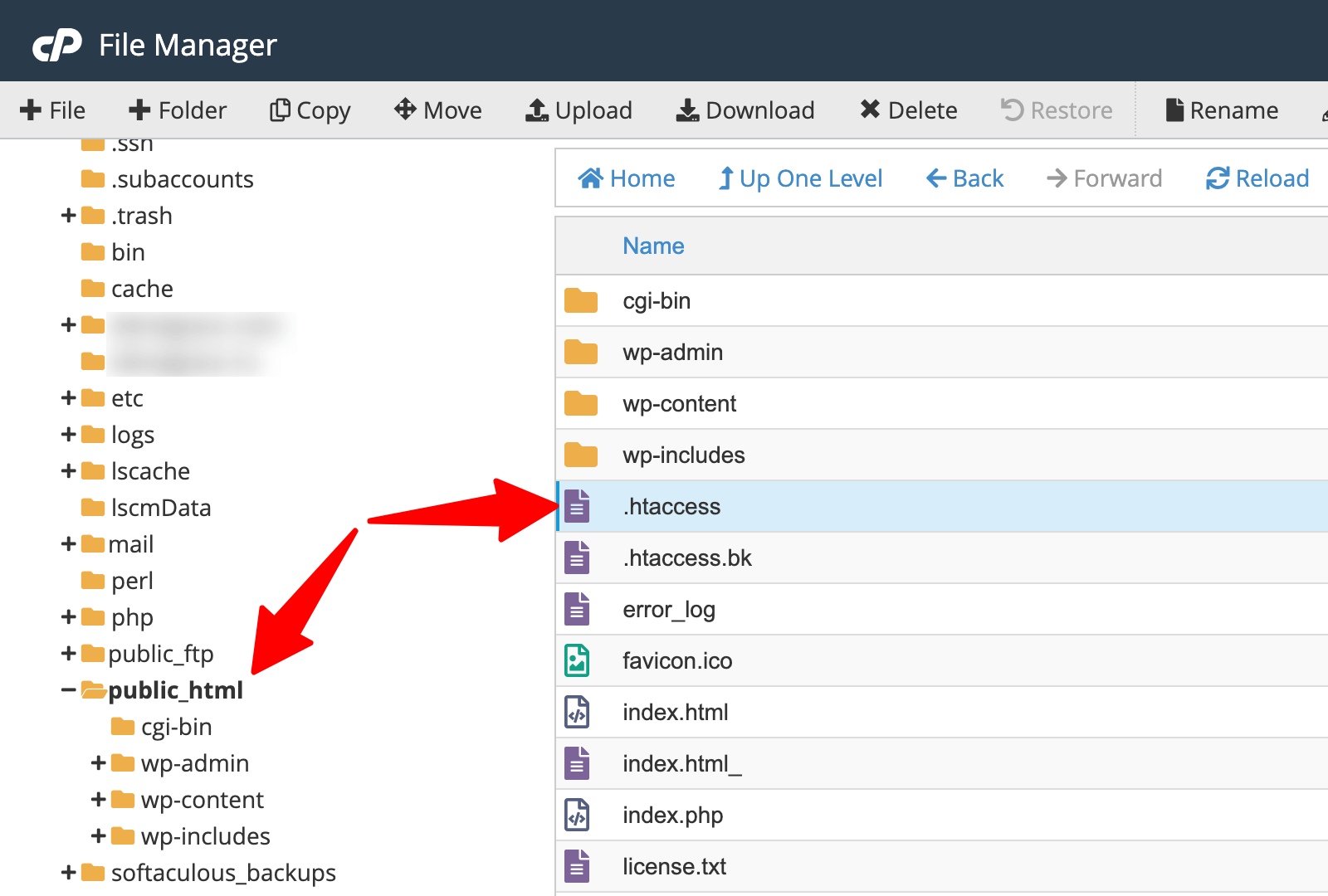 cPanel > .htaccess file