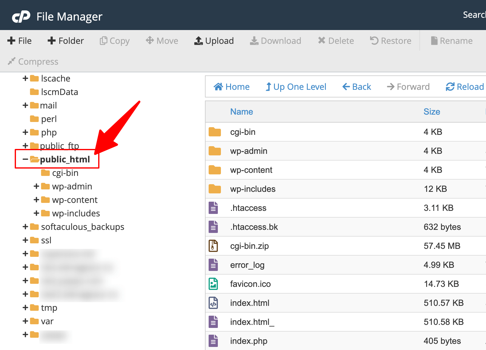 cPanel File Manager