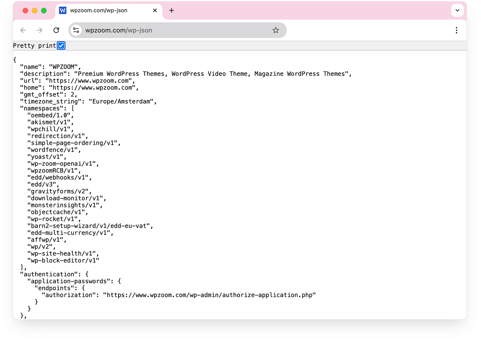 REST API on your website