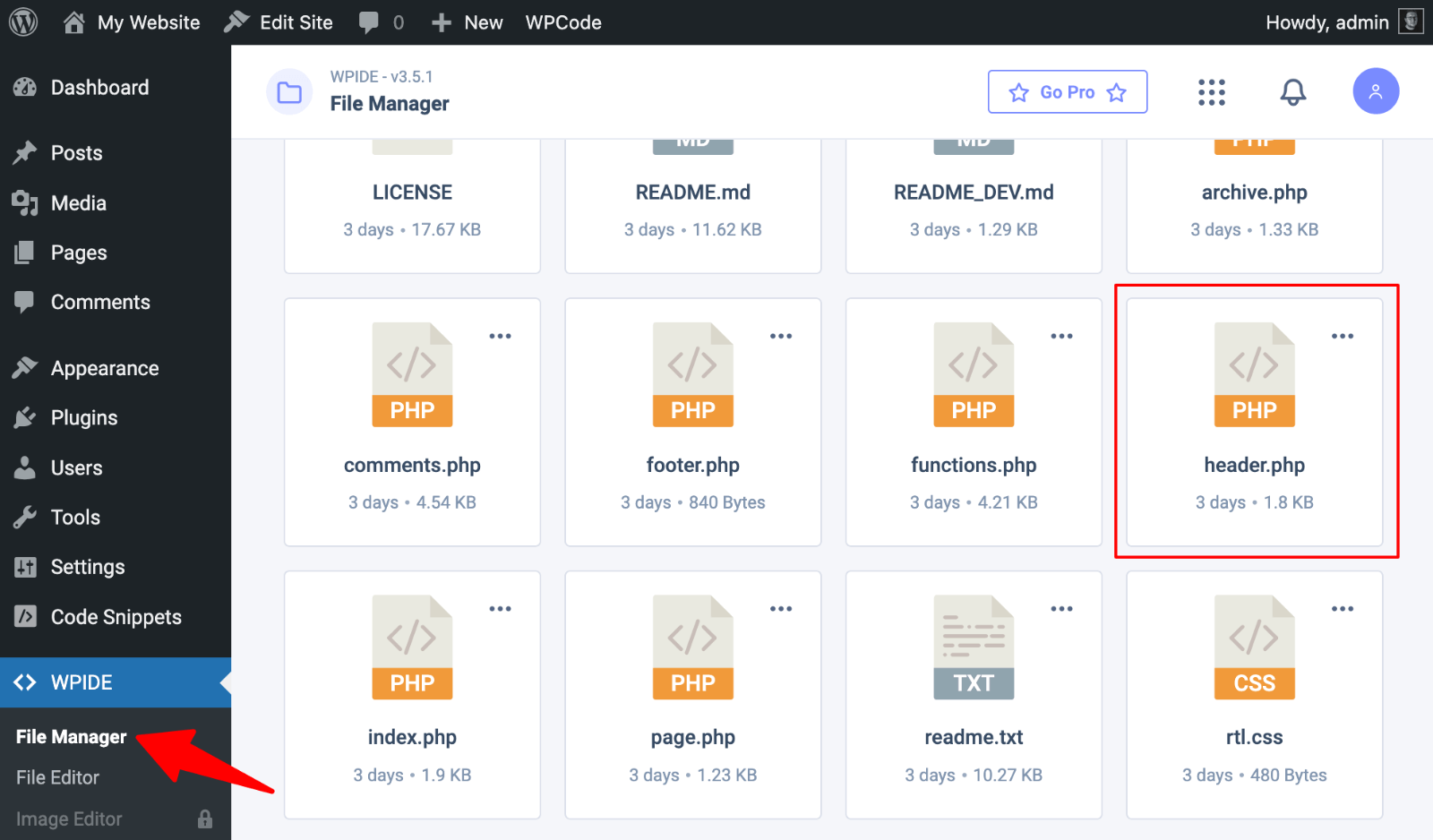 WPIDE access header.php