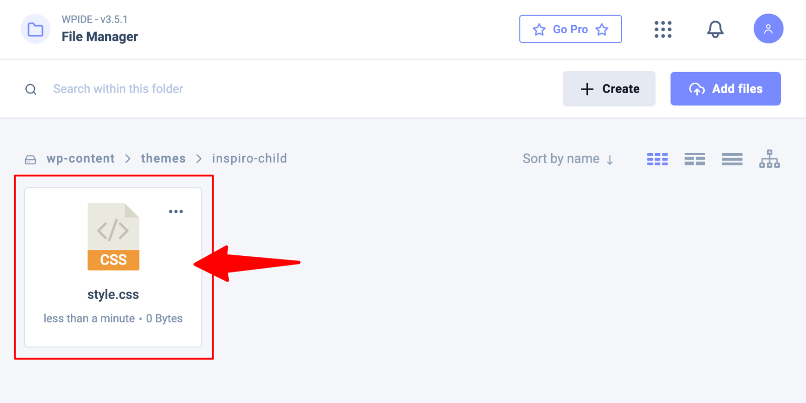 WPIDE > Edit style.css
