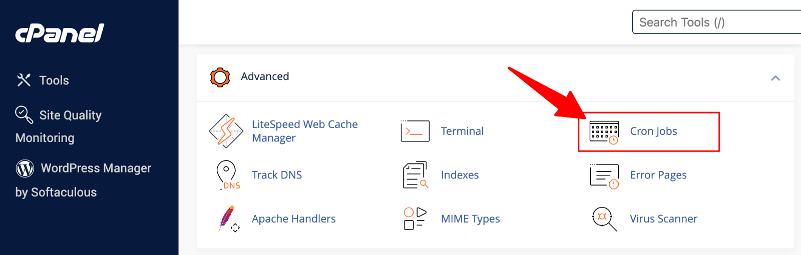 cPanel > Cron Jobs