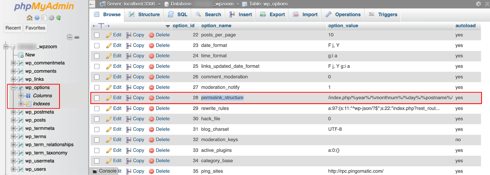 PHPMyAdmin WP_Options table