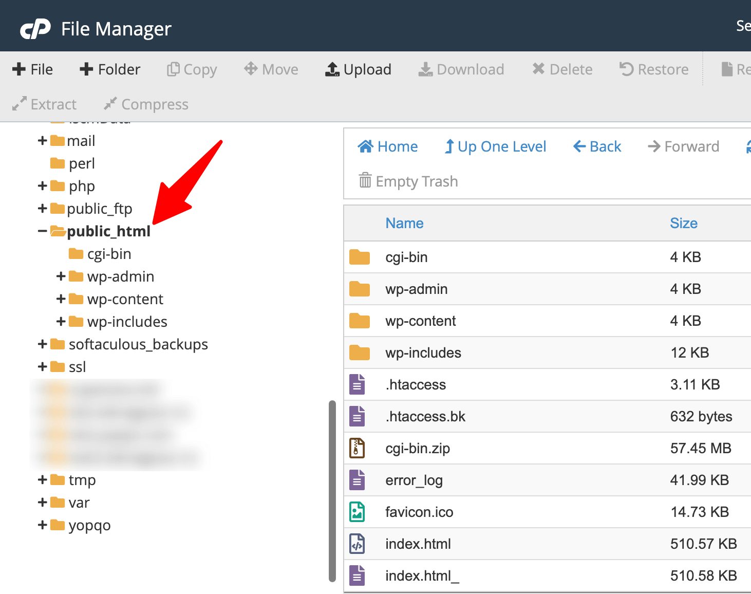 cPanel public_html folder